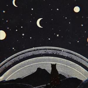 日本成人xx视频在线观看
