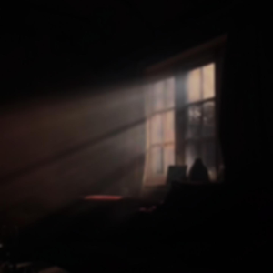 日本成人xx视频在线观看
